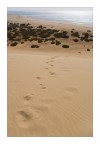 Fuerteventura, agosto 2007