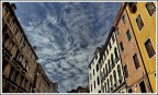 Punti di vista
