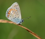 sullo scivolo