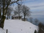 abbandono serotino