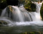 Fonte di vita