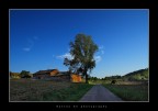 La luce della sera