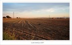 Oro scolpito... in campagna