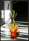 Colori ed ombre