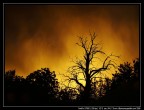 Cielo tempestoso