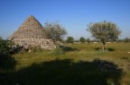 Altra foto della murgia...