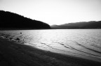 Foto B/N scattata a ferragosto in Sila, lago arvo