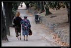 Villa Borghese, Roma
D50 + AF-S 80/200 f.2.8

Suggerimenti e critiche sempre bene accetti!