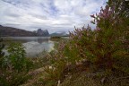 Norvegia2