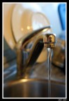 Un altro scatto casalingo (il primo  qui: [url]http://www.photo4u.it/viewcomment.php?pic_id=248406[/url]) fatto in un giorno in cui avevo voglia di giocare un p con il diaframma e con i titoli da assegnare alle foto :)
Suggerimenti e critiche sempre ben accetti