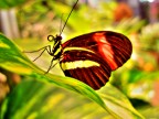 Minolta Dimage G600
Photoshop CS2
Photomatix Pro
Da un file jpg simil hdr