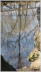 Riflessi