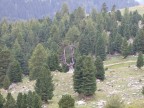 IL SECCO E I VERDI