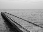 olympus camedia