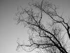 olympus camedia