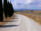 Terre di Toscana 1