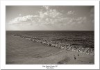 Porto Torres #1