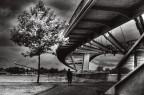 The bridge