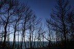 Gargano 2007...Per non dimenticare