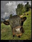 close encounter