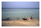 il deserto sul mare