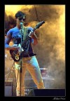 Stereolab Music Festival