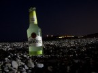 Bacardi