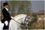 Finale del Master Italiano del Cavallo Iberico
