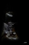 Scatto eseguito nelle gole dell'alcantara nella nostra splendida Sicilia, durante un trakking nella gola stessa e in un metro e mezzo circa di acqua gelida....