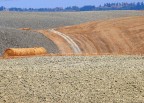 terre di Toscana 3