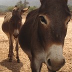 Tutti in fila Tutti in fila