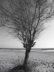 solitudine e malinconia