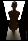 Lights  #1