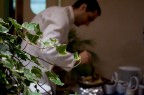 Catering