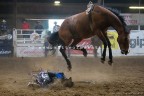 Rodeo (PV)