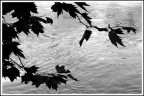 Minimalismo