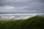 Irlanda Impetuosa