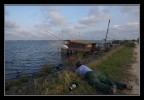 Valli di Comacchio...una domenica in compagnia di Clara e Mosaico