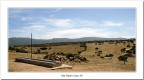 Monte Acuto #34