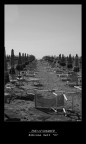 End Of Summer