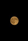 Primo sscatto alla luna.
Commenti e critiche di grandissimo aiuto  la prima volta che ad agosto ho provto a fotografare la luna piena, il tutto sensa cavalletto.
Grazie per le dritte per la prossima luna piena che sar tra pochi giorni.