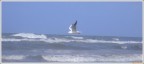 Deluso Volo Via