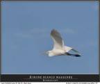 In volo!