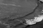 Mare