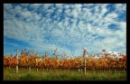 autunno