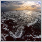 Waterworld