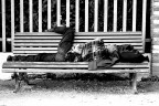 L uomo e la panchina L uomo e la panchina