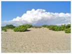 Dune spiaggia puglia