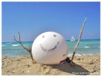 Citazione dal film "Cast away"