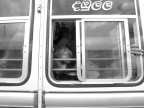 Sri Lanka, Colombo - Settembre 2005
Il mio pullman ne incrocia un altro che marcia in senso opposto con il suo carico umano.
E' questione di un attimo... gli sguardi si incrociano...